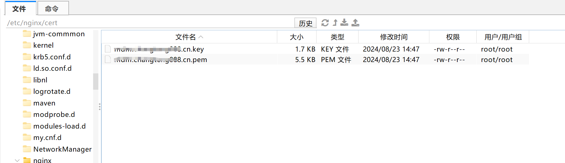 image-20240823144933954